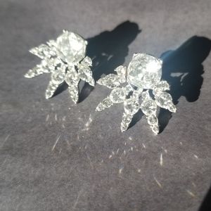 Banana Republic Earrings.